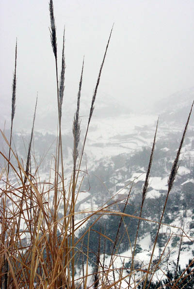 独钓寒江雪