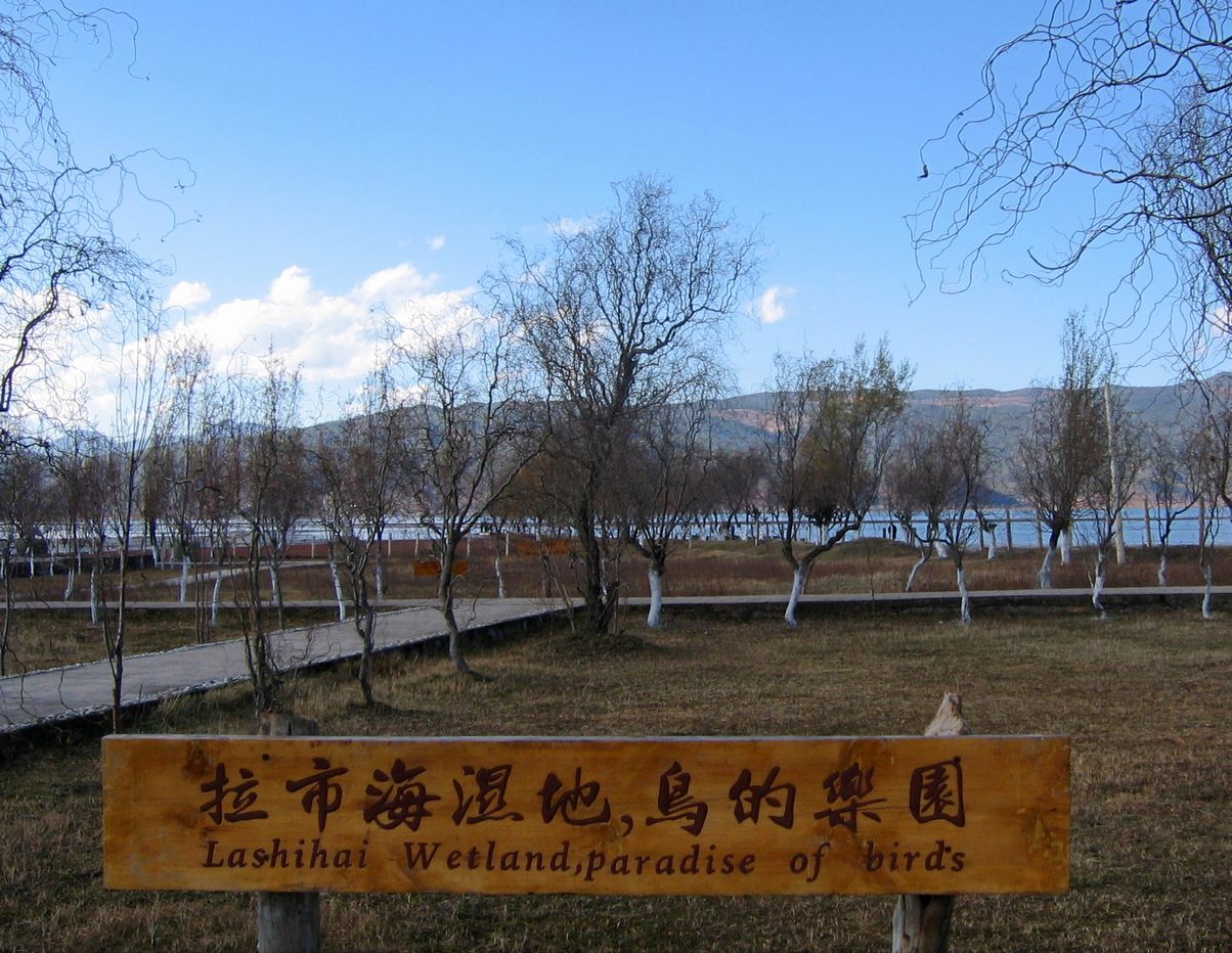 我的丽江之行（风景篇）