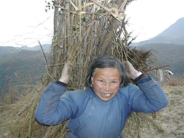 黄岩之行片片