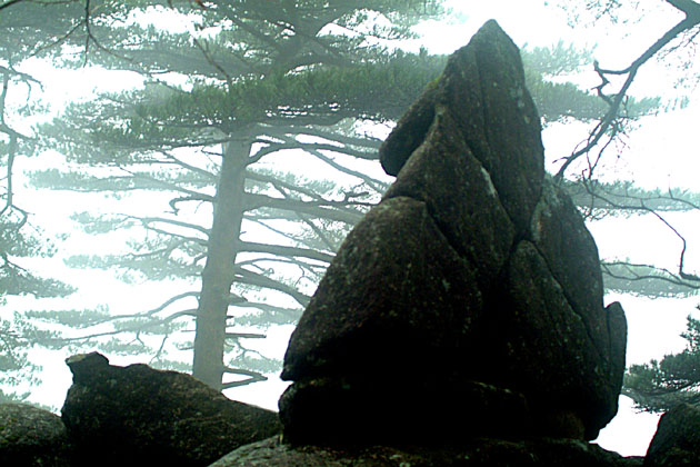 雾锁黄山