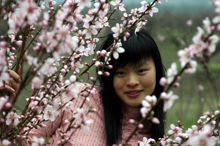 桃花梨花及美眉