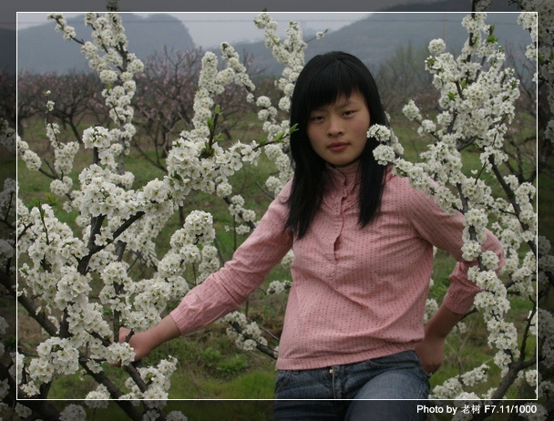 桃花梨花及美眉