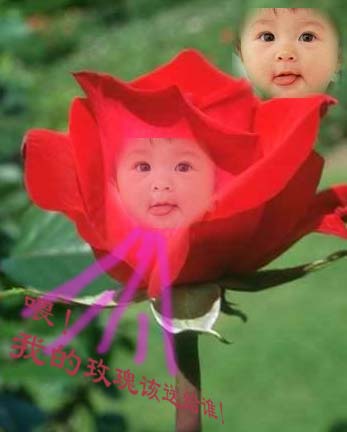 偶也要征婚！