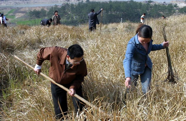 义务植树活动剪影