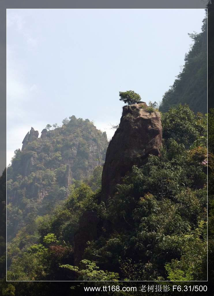 椒黄路玉环温岭驴友4月10日百丈到兴龙湾暴走