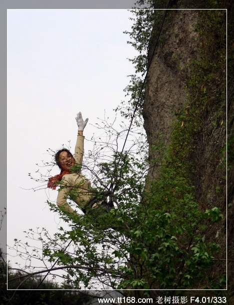 青山桌17日下午试降