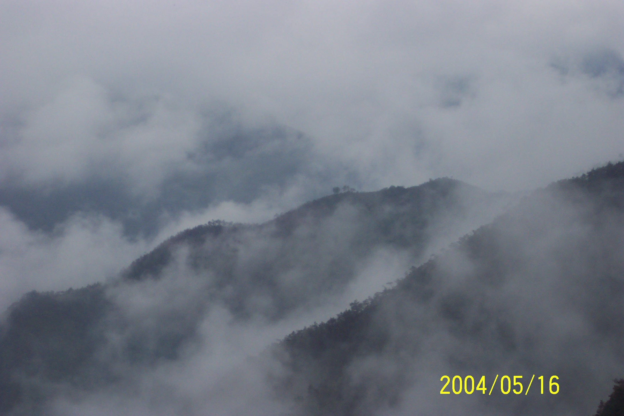 5月15-16日括苍山徒步照片集（按顺序发）