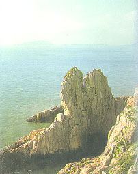 jioUsfM9.jpg
