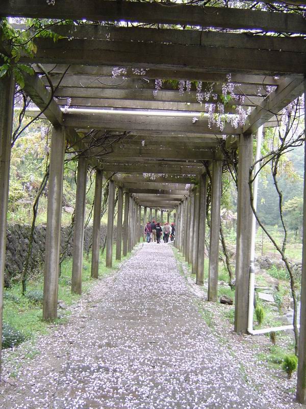 [贴图]江心屿－－－太姥山