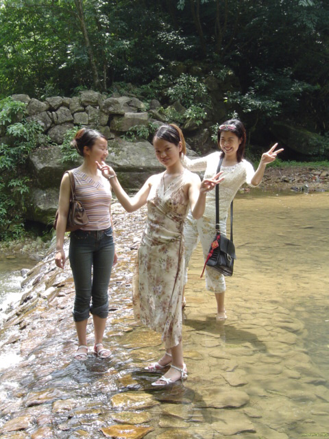 代蝶飞燕舞发PP