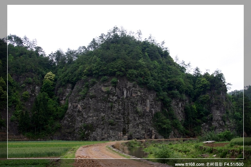 九遮山—大雷山—仙居之行图片集