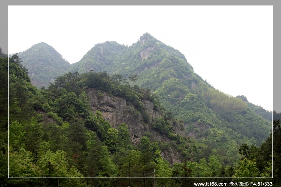 九遮山—大雷山—仙居之行图片集