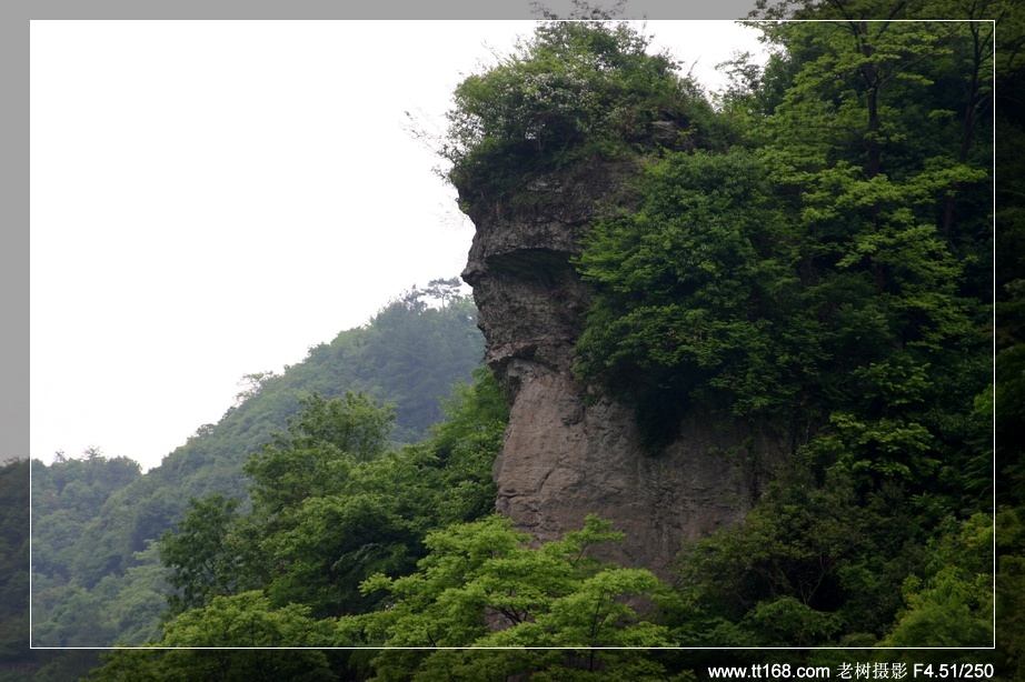 九遮山—大雷山—仙居之行图片集