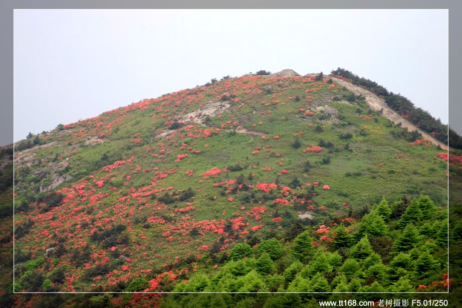 九遮山—大雷山—仙居之行图片集之二