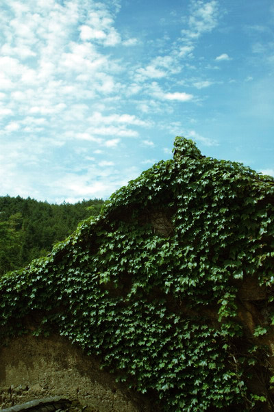 阳光季节--桐坑溪-万年寺-万马渡游记