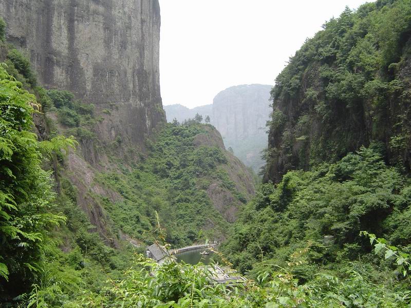 [贴图]淡竹