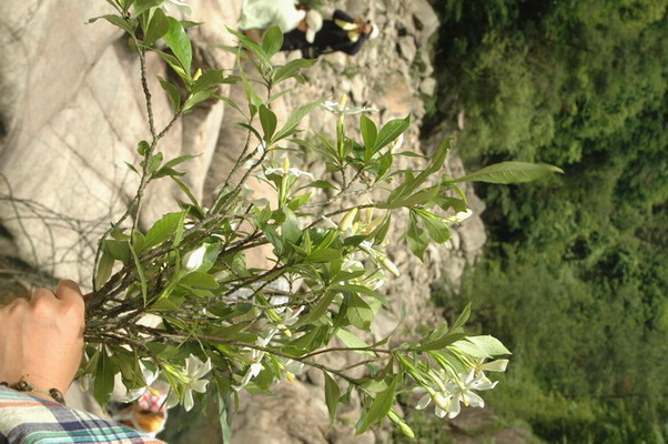 阳光季节--桐坑溪-万年寺-万马渡游记