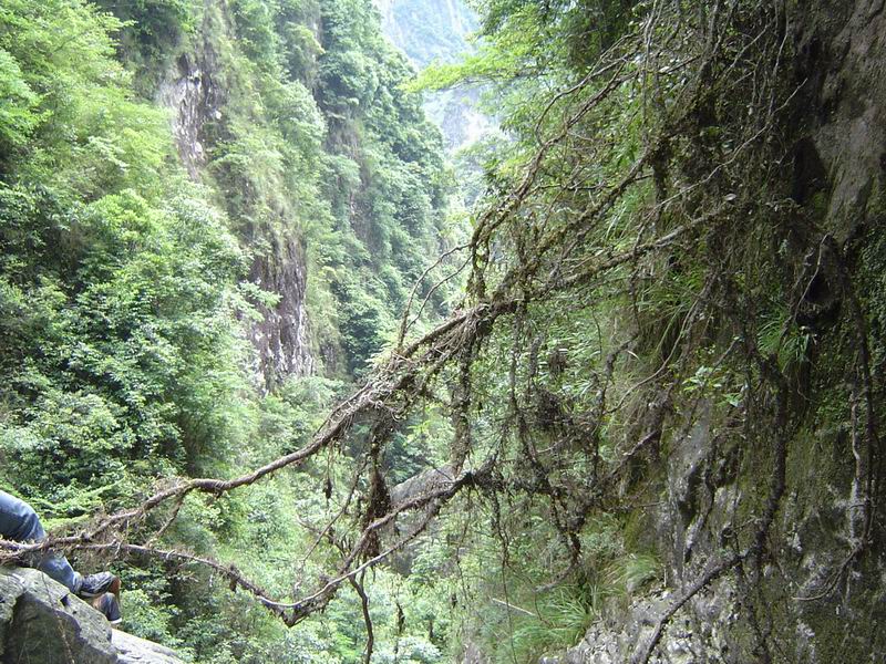 [贴图][分享]显胜门