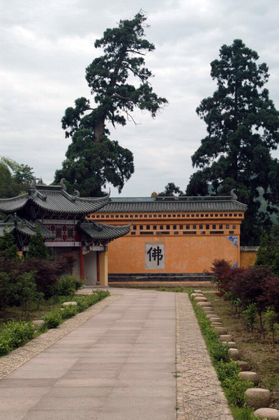 阳光季节--桐坑溪-万年寺-万马渡游记