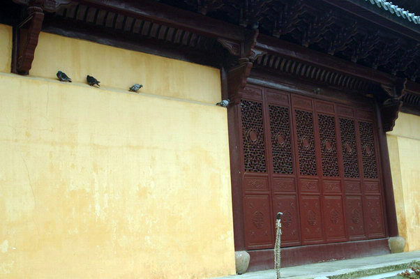 阳光季节--桐坑溪-万年寺-万马渡游记