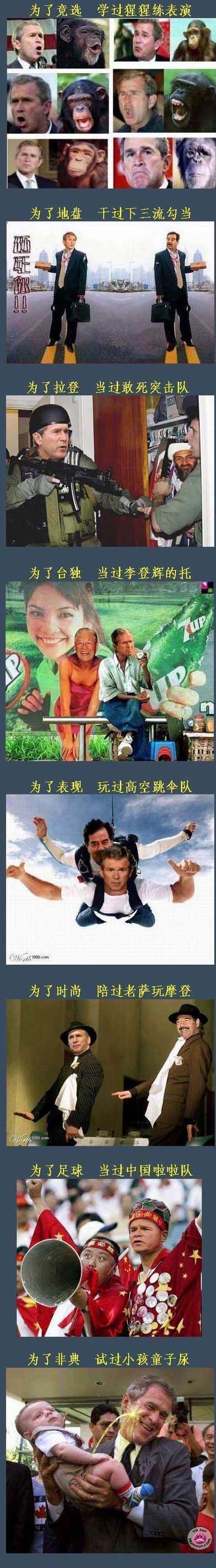 布什的一生