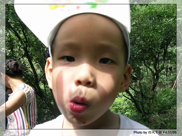 椒江西山采杨梅归来了