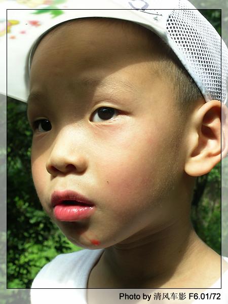 椒江西山采杨梅归来了