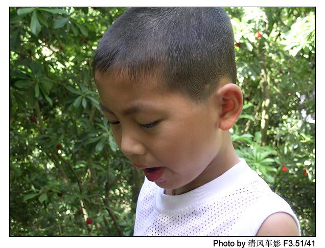 椒江西山采杨梅归来了