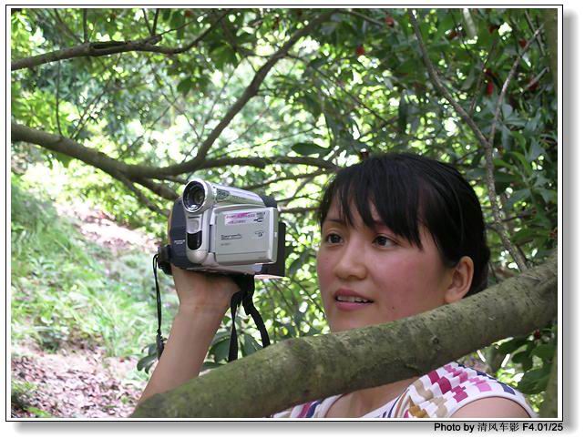 椒江西山采杨梅归来了