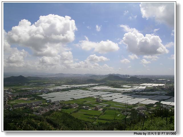 椒江西山采杨梅归来了