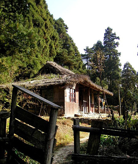 华顶旅行