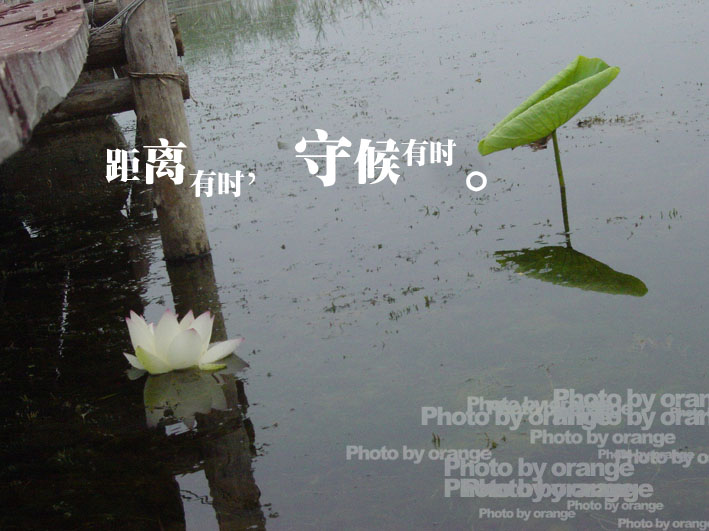 幸福是一种心的感觉