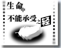 生命中不能承受之轻