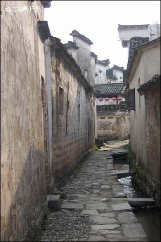 十一到底去哪里啊？