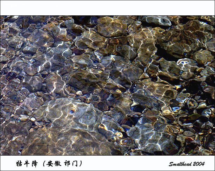 十一到底去哪里啊？