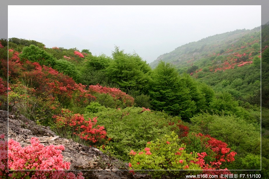 天台山风光（搜集）