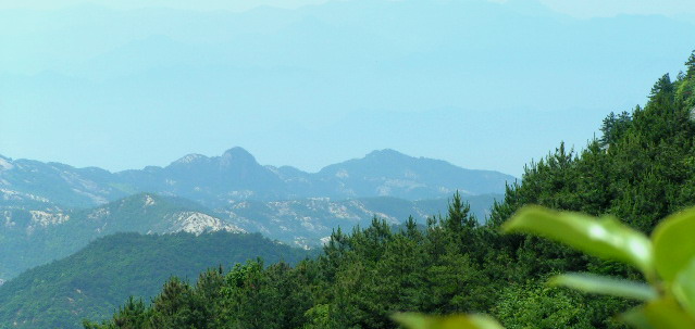 天台山风光（搜集）