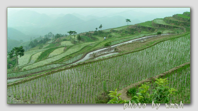 天台山风光（搜集）