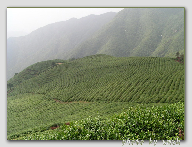 天台山风光（搜集）