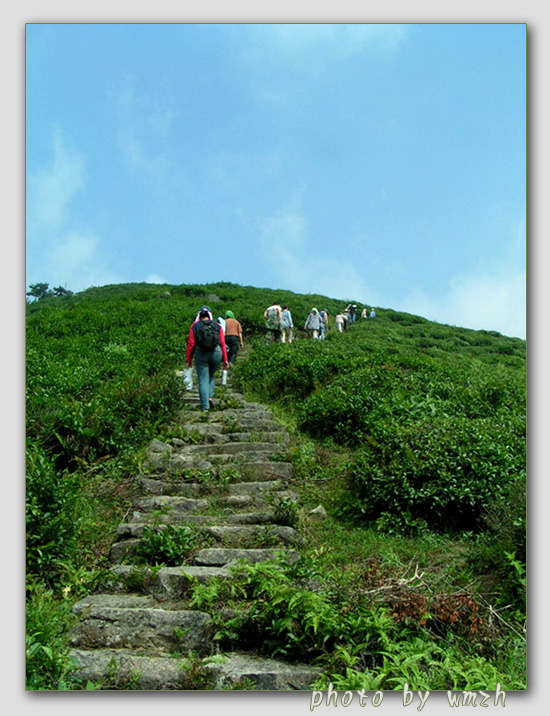天台山风光（搜集）