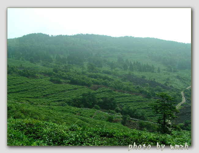 天台山风光（搜集）