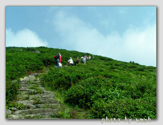 天台山风光（搜集）