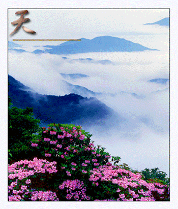 天台旅游概况、关于旅游版