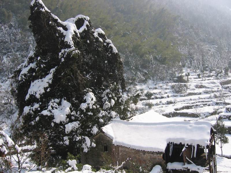 十三点上大雷山