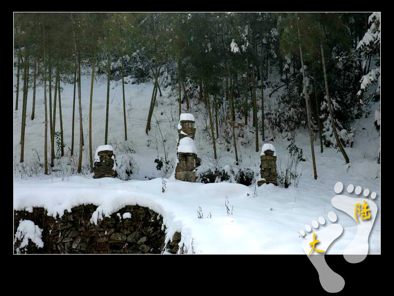 1.15~16 雪上大雷山