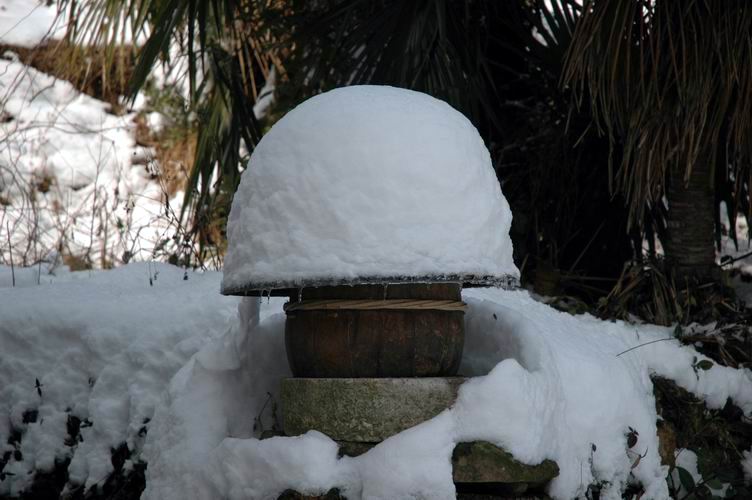 1.15~16 雪上大雷山