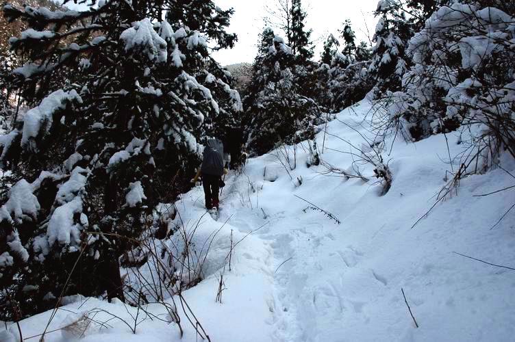 1.15~16 雪上大雷山