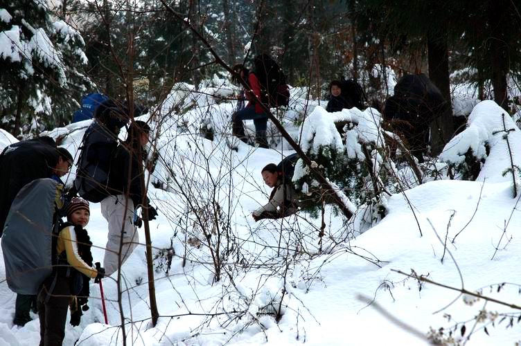 1.15~16 雪上大雷山