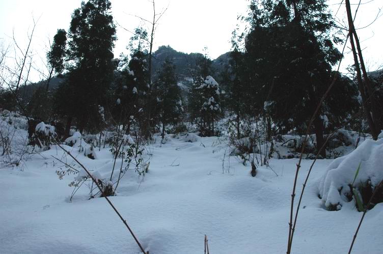1.15~16 雪上大雷山