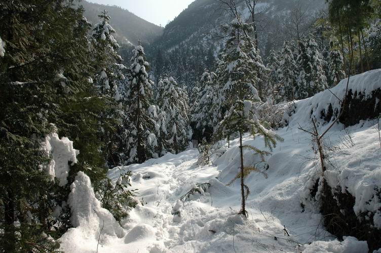 1.15~16 雪上大雷山